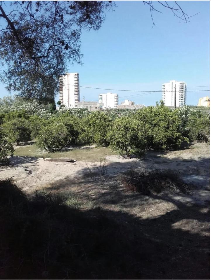 DP-67-BM-00-1248-TH-5