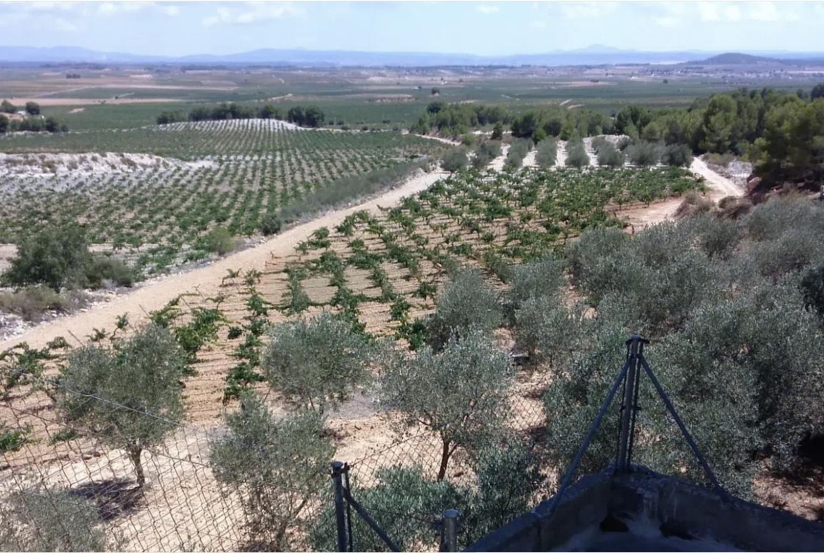 Villa for sale in Venta del Moro