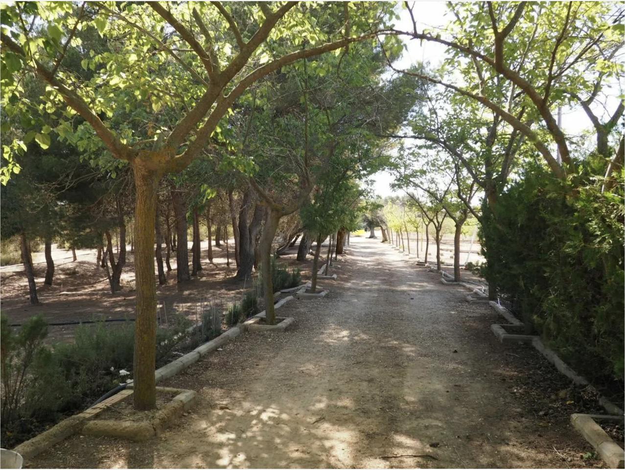 DP-67-BM-00-1281-GH-11