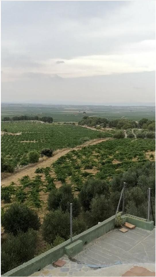 DP-67-BM-00-1281-GH-3