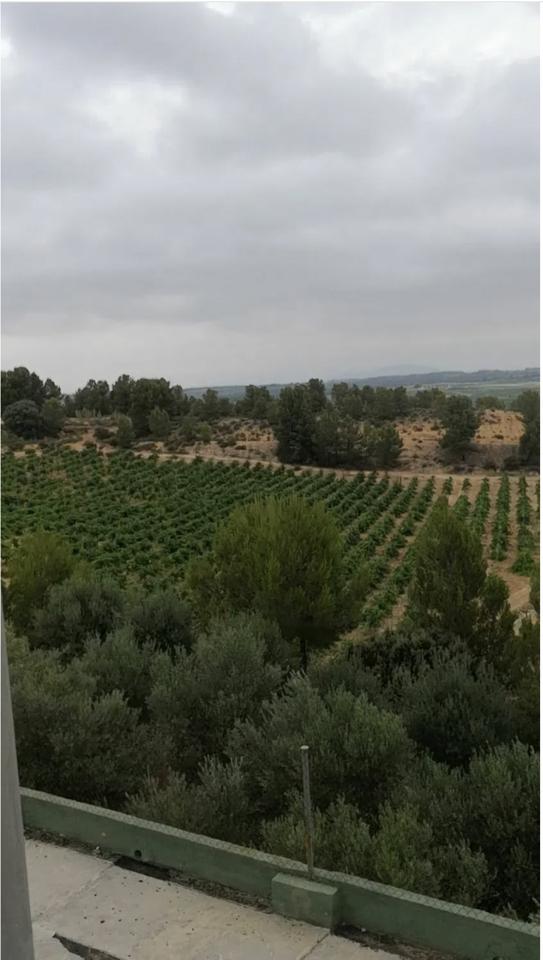 DP-67-BM-00-1281-GH-4