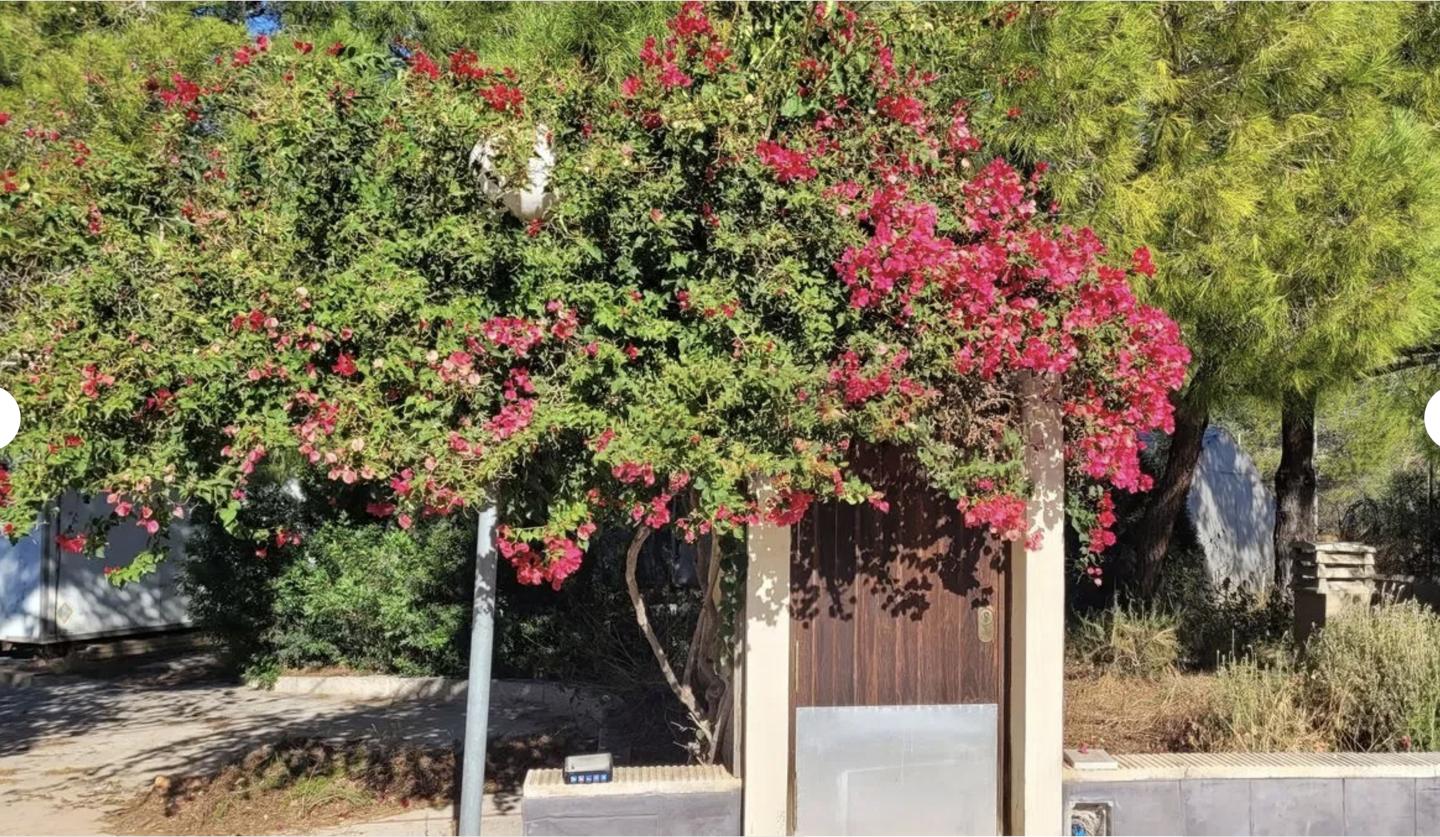 DP-67-BM-00-1298-GH-2