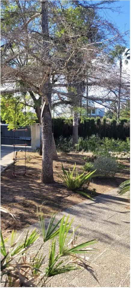 DP-67-BM-00-1298-GH-20