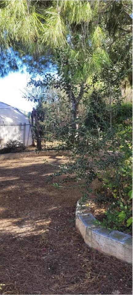 DP-67-BM-00-1298-GH-5