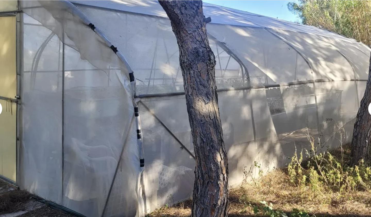 DP-67-BM-00-1298-GH-6