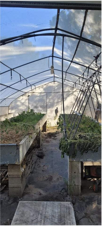 DP-67-BM-00-1298-GH-7