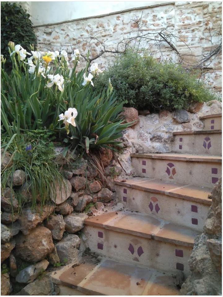 DP-67-BM-00-1344-AH-20