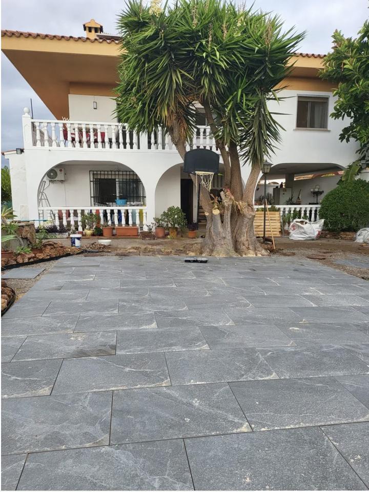 DP-67-BM-00-1538-AH-8