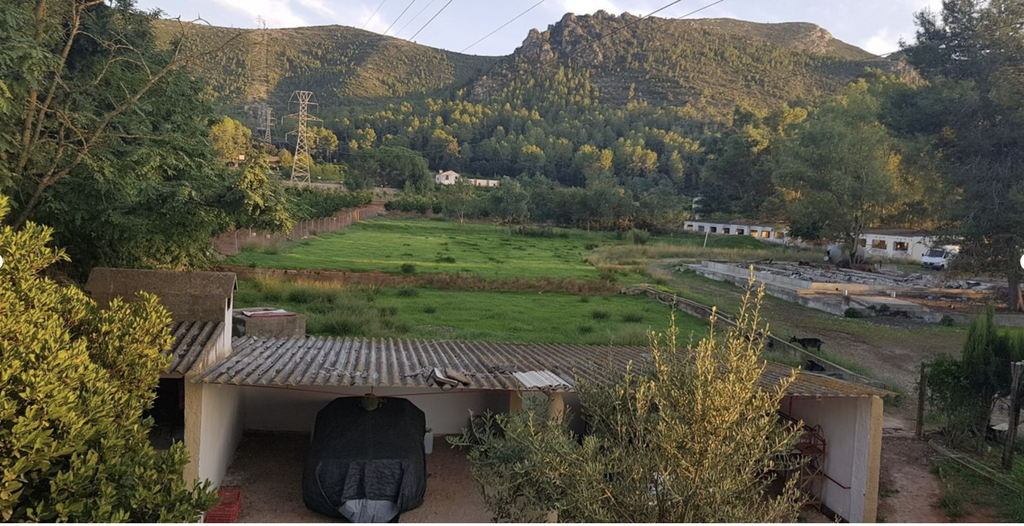 DP-67-BM-00-1180-LH-1