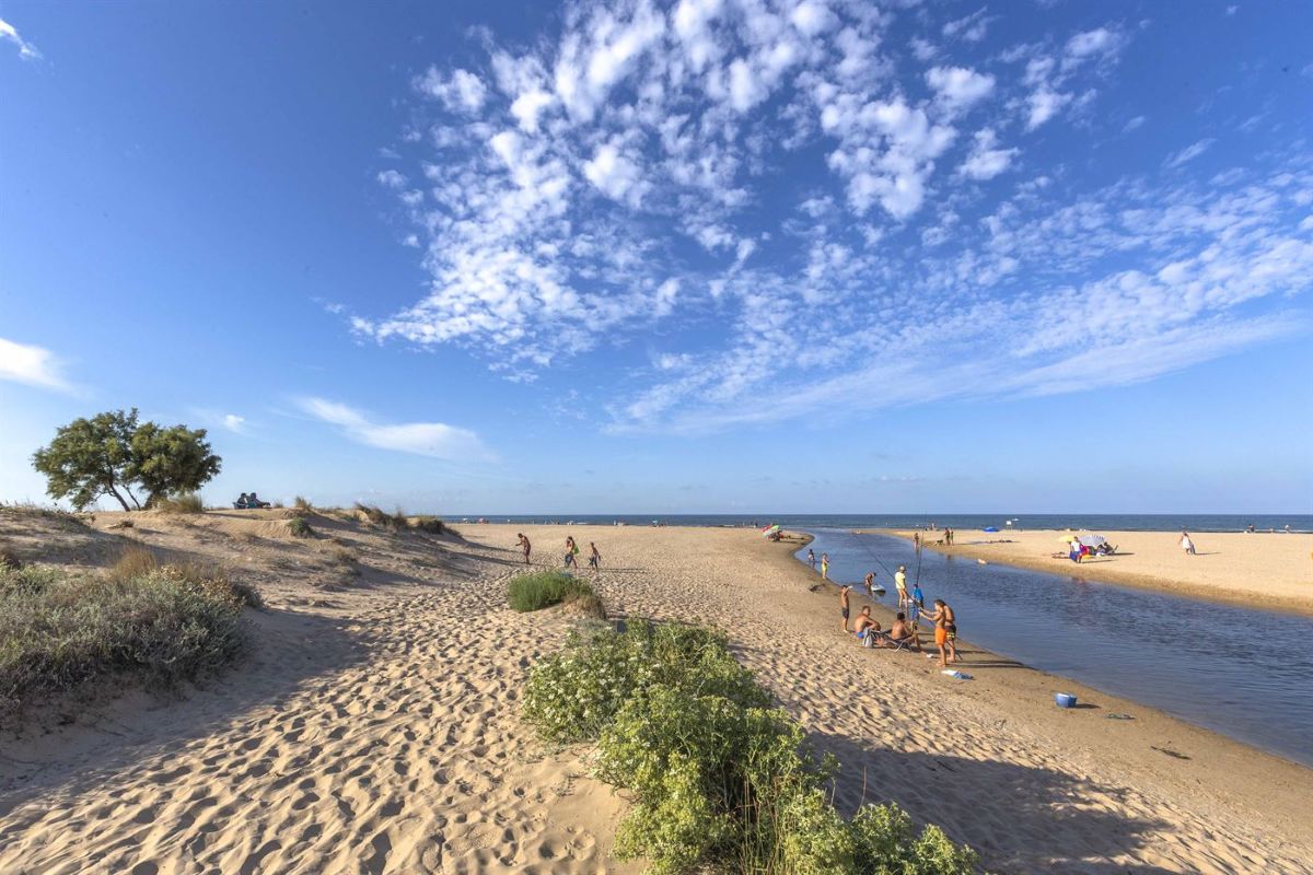 New build apartment for sale in Oliva